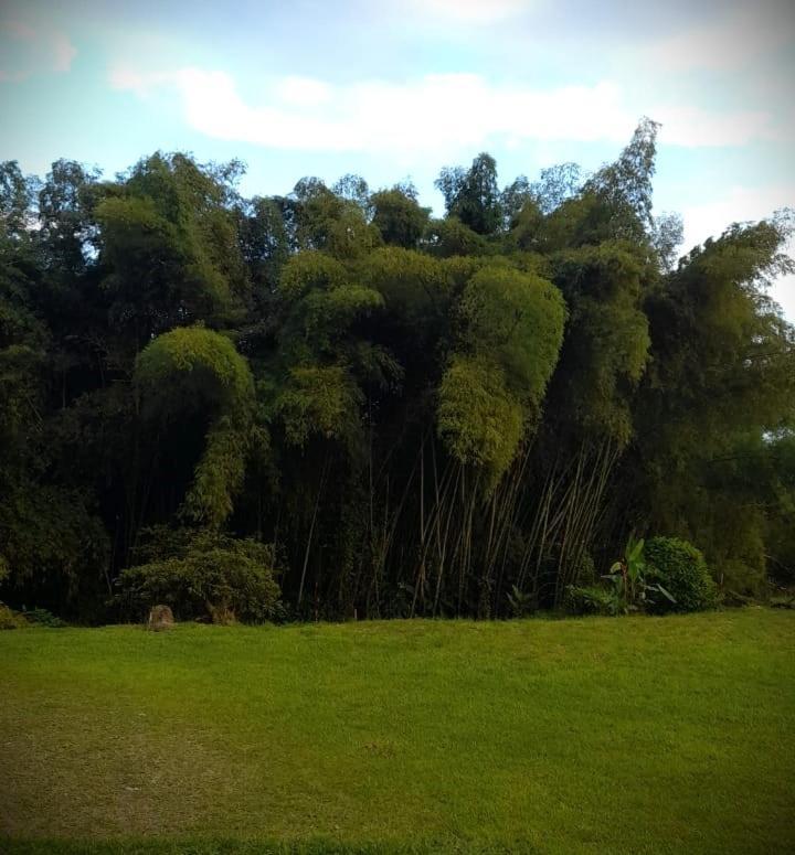 Filandia - Finca Rural La Guadalupana Hotel Ngoại thất bức ảnh