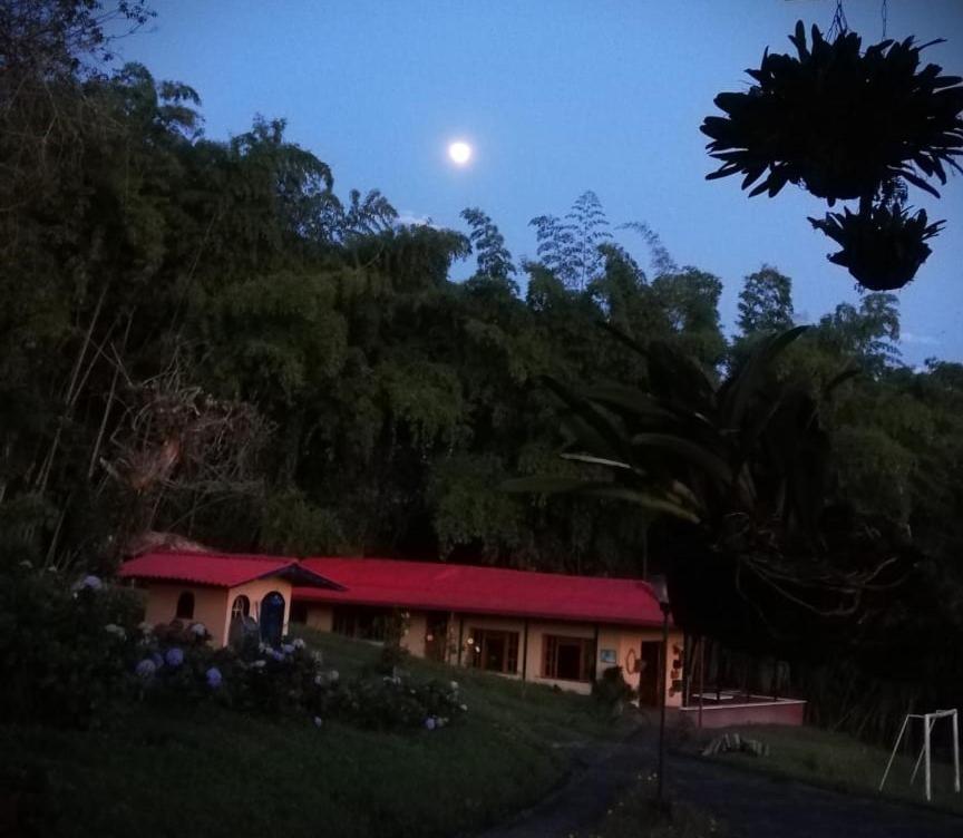 Filandia - Finca Rural La Guadalupana Hotel Ngoại thất bức ảnh