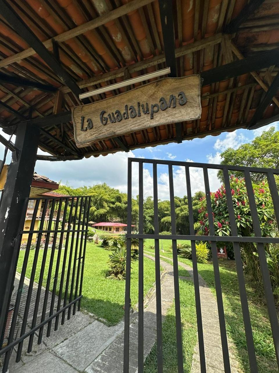 Filandia - Finca Rural La Guadalupana Hotel Ngoại thất bức ảnh
