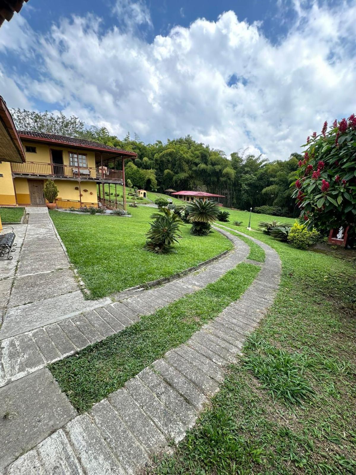 Filandia - Finca Rural La Guadalupana Hotel Ngoại thất bức ảnh