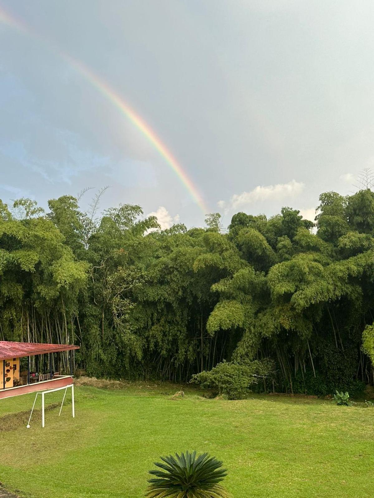 Filandia - Finca Rural La Guadalupana Hotel Ngoại thất bức ảnh