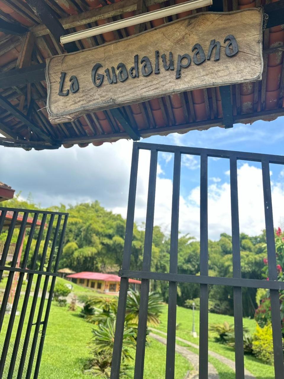 Filandia - Finca Rural La Guadalupana Hotel Ngoại thất bức ảnh