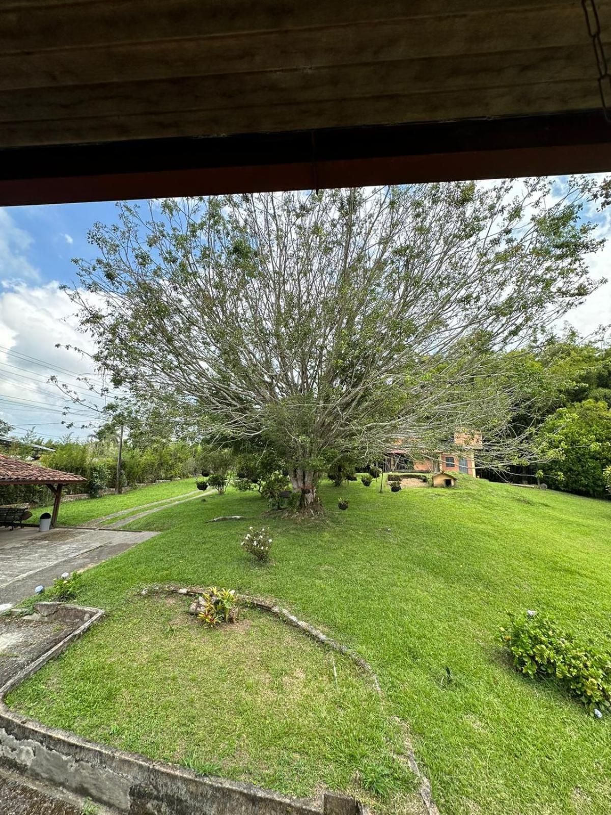 Filandia - Finca Rural La Guadalupana Hotel Ngoại thất bức ảnh