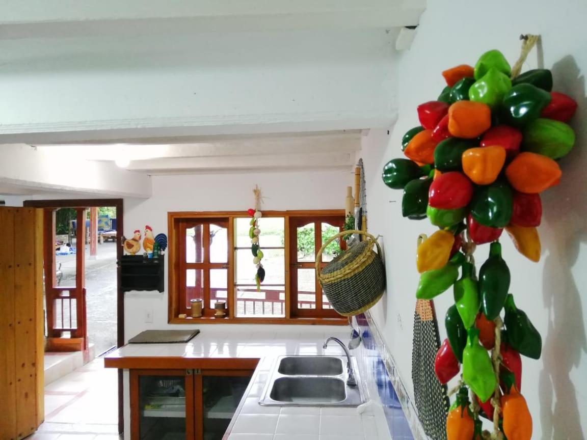 Filandia - Finca Rural La Guadalupana Hotel Ngoại thất bức ảnh